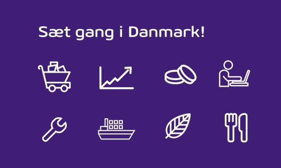 SMVdanmarks ideer til genopretningen af Danmark